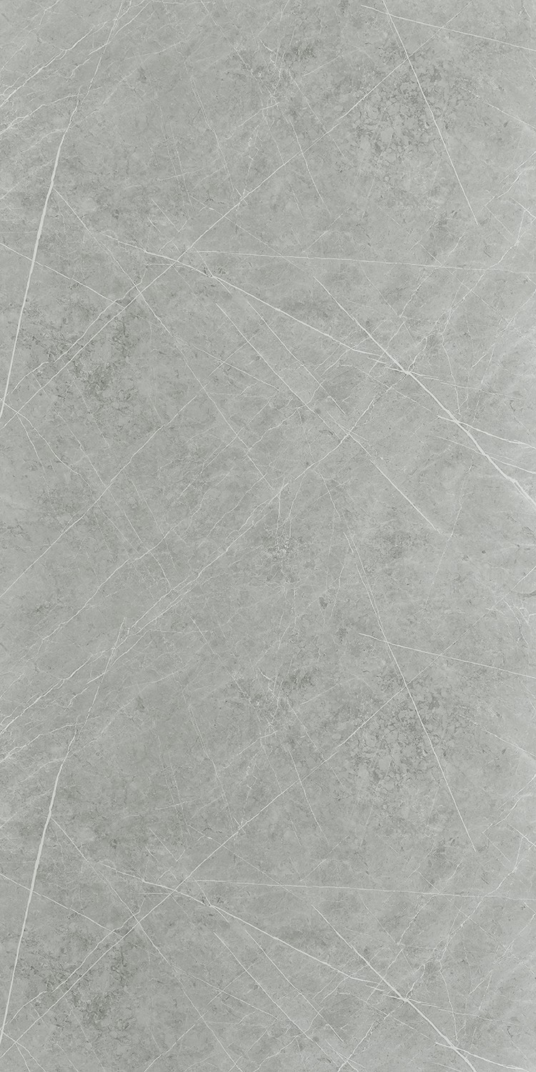 Formica Cora